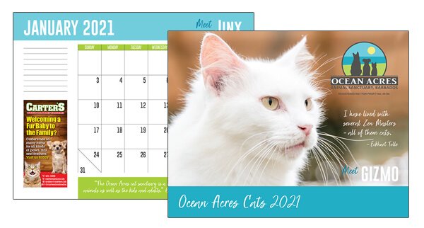 Ocean Acres Animal Sanctuary cat calendar 2021