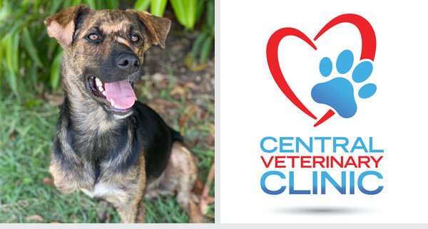 Central Veterinary Clinic dog sponsorship
