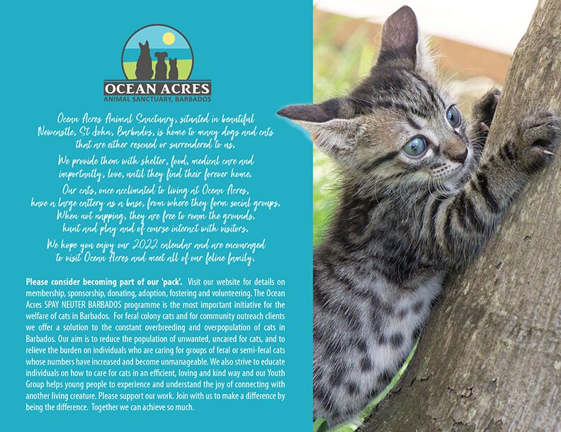 Ocean Acres Animal Sanctuary, 2022 cat calendar