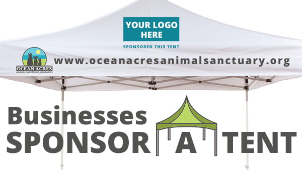 sponsor a tent, Ocean Acres